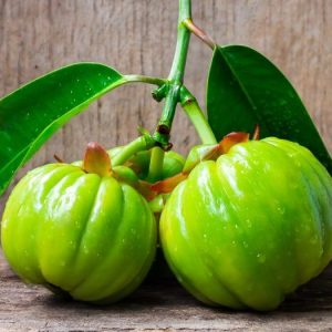 Garcinia Cambogia Benefits