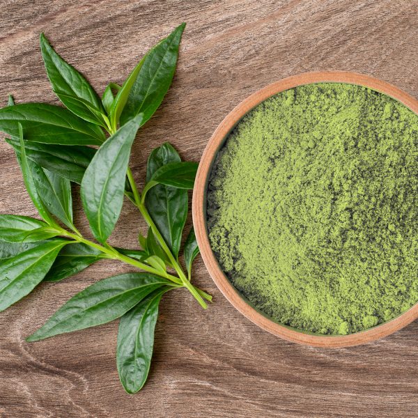 Moringa leaf powder